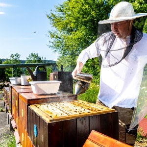 Roman Dejmek u včelínů ve Spolchemii