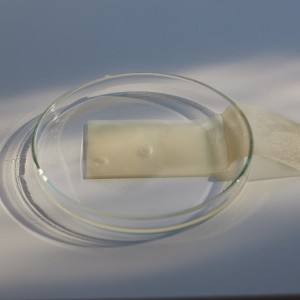 Absorbce vody v laboratorních podmínkách
