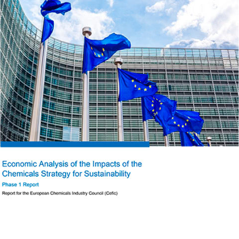 Ekonomická analýza dopadů chemické strategie pro udržitelnost