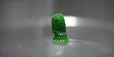 Stavební materiál, který žije, roste a zbavuje nás oxidu uhličitého
