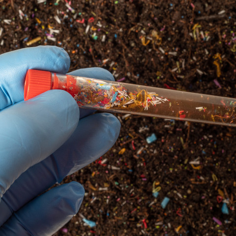Alarmující výsledky týkající se mikroplastů v zemědělské půdě