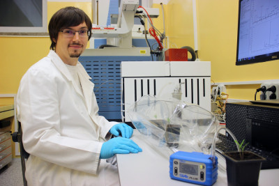 MENDELU: Růst rostlin výrazně ovlivňují těkavé látky, které produkují bakterie