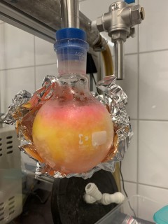 Přichyť a přilep! Vědci z ÚOCHB AV ČR představili novou metodu značení biomolekul