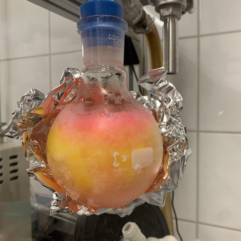 Přichyť a přilep! Vědci z ÚOCHB AV ČR představili novou metodu značení biomolekul