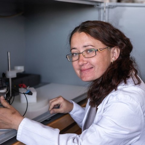 Inteligentní biosenzory pomáhají včas odhalit zánět u pacientů s kloubními náhradami