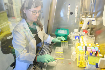 Vědci vyvíjejí unikátní model lidského tenkého střeva, který může nahradit pokusy na zvířatech