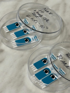 CATRIN prohlubuje spolupráci s FEI v senzorických technologiích