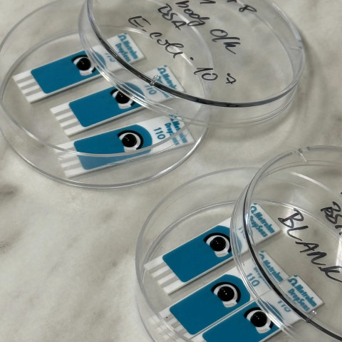 CATRIN prohlubuje spolupráci s FEI v senzorických technologiích